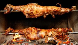 gastro razanj
